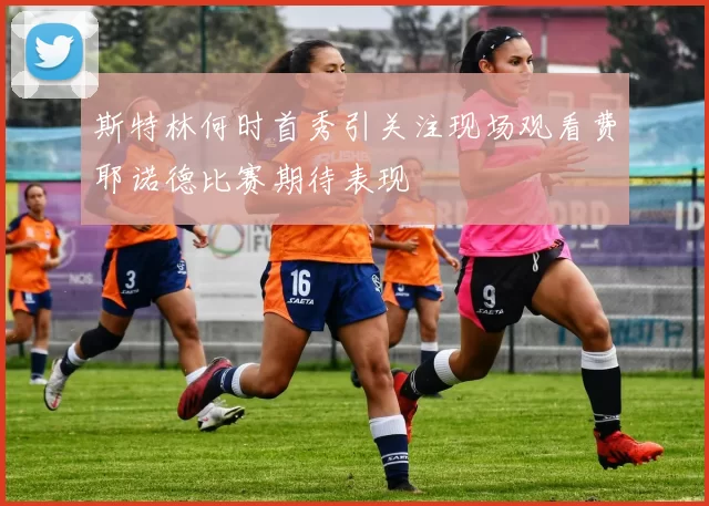 斯特林何时首秀引关注现场观看费耶诺德比赛期待表现